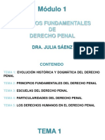 Módulo 1 de Derecho Penal General