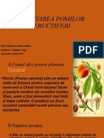 Plantarea Pomilor Fructiferi