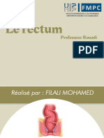 Rectum Filali