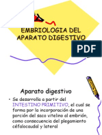 A81 Embriologia Del Aparato Digestivo
