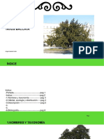 Abrir Presentación 22 PDF