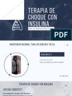 Terapia de Choque Con Insulina