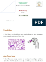 Blood Film Analysis