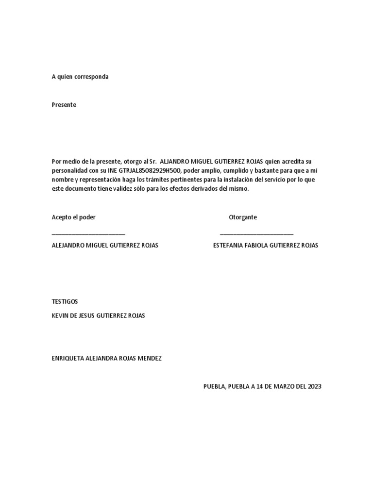 Carta Poder Con Testigo PDF | PDF