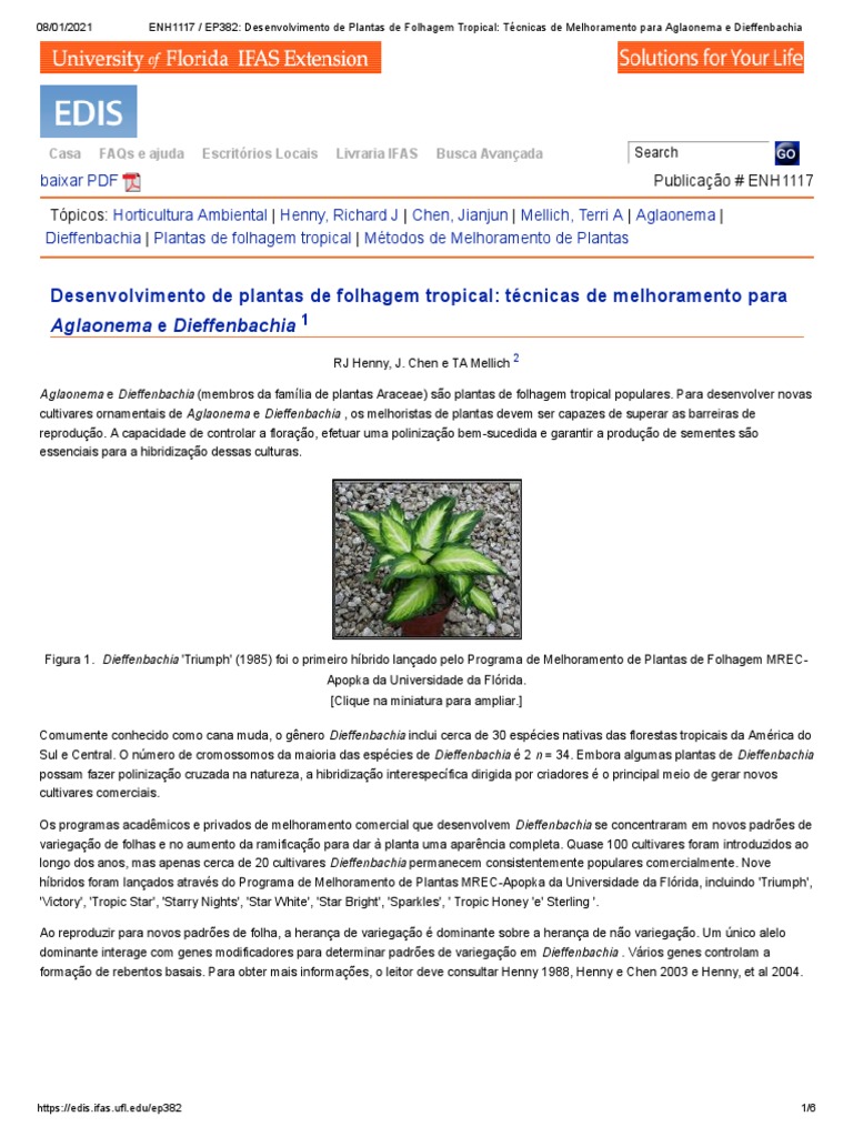 Polinização de Flor de Aglaonema e Diffenbachia, PDF, Flores