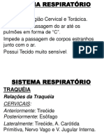 5° Aula - Sistema Respiratório2 PDF