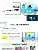 Semana 3 - Amebas de Vida Libre - SNC I PDF