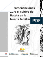 Recomendaciones para el cultivo de batata en la huerta familiar(1).pdf
