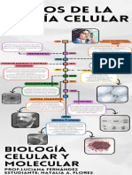 Infografia Línea Del Tiempo Historia Timeline Doodle Multicolor