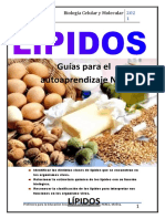 BIOMOLECULAS-LIPIDOS-Guia de Desarrollo y Aplicacion - Copia