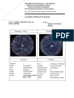 FIX ATAS (Batupasir Karbonatan Halang) PDF