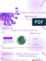 Clase 2 - Estructura Celular y Tejidos