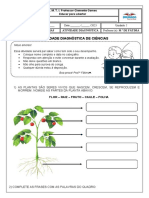 Av - Diagnóstica 3º Ano - Ciências