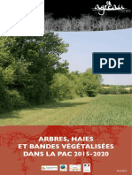 ARBRES_HAIES_ET_BANDES_VEGETALISEES_DANS_LA_PAC_2015-2020.pdf