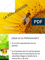 Disertacion La Polinizacion