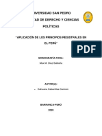 Aplicación de Principios Registrales en El Peru PDF