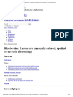 Blueberries_ Leaves are unusually colored, spotted or necrotic (browning)