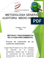 Auditoria Medio Ambiente