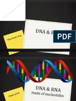 DNA RNA PPT With Flashcards