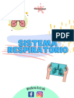 Fichas Sistema Respiratorio PDF
