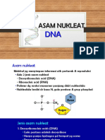 Kuliah BioDas 1 (DNA & RNA) PDF