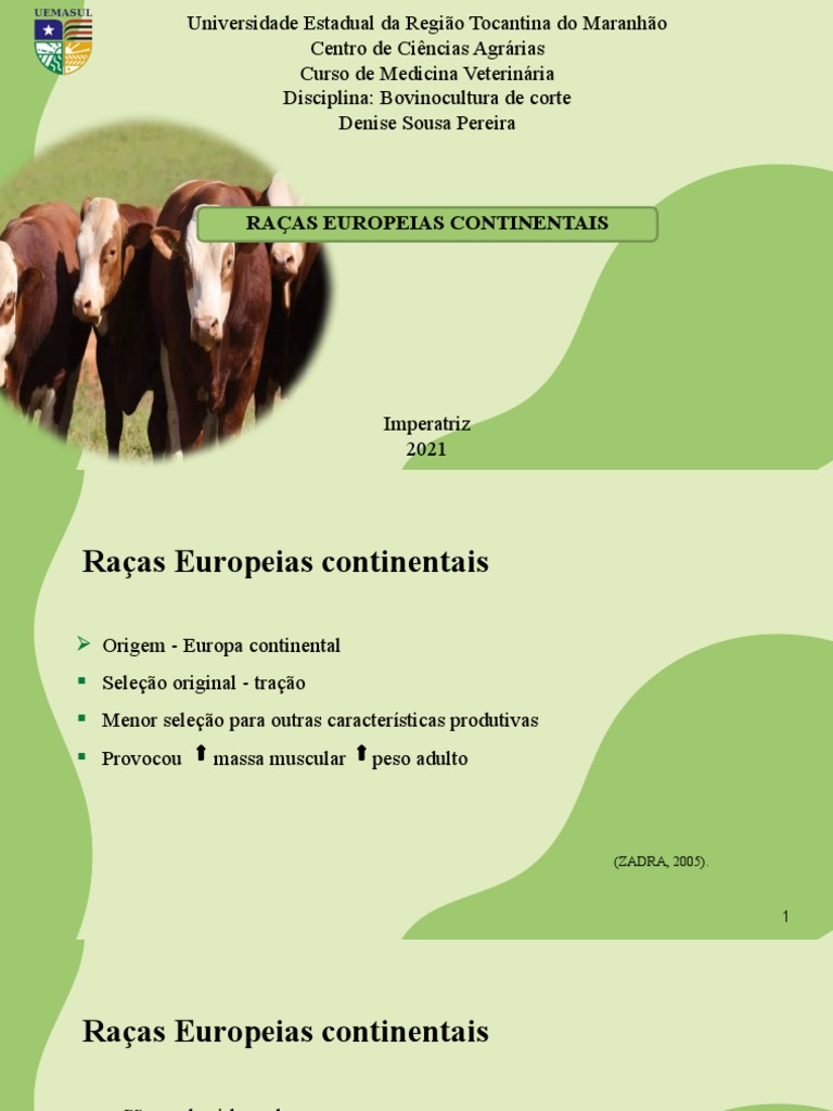 bovinocultura-de-corte-pdf