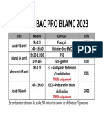 Planning Bac Pro Blanc 2023