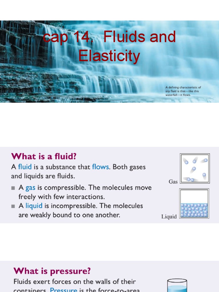 cap 14. Fluids and Elasticity.pdf PDF