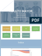 Adulto Mayor 2022