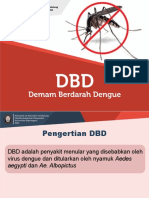 Presentasi Demam Berdarah DBD