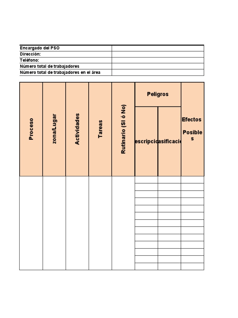 Formato Matriz | PDF