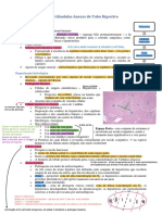 T5-6 Glândulas Anexas PDF