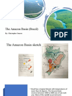 The Amazon Basin (Brazil)