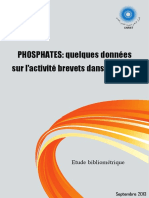 Statistiques-Brevets Phosphates - IMIST