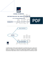 10 Sistema Neuromuscular Documento PDF