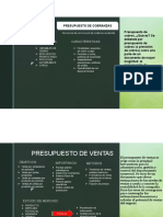 Presupuesto de Venta y Cobranza PDF