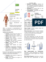 Anatomia do coração