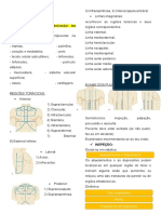 ROTEIRO DE HAM 2 bim