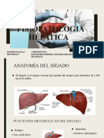 Fisiopatologia Hepatica Trabajo