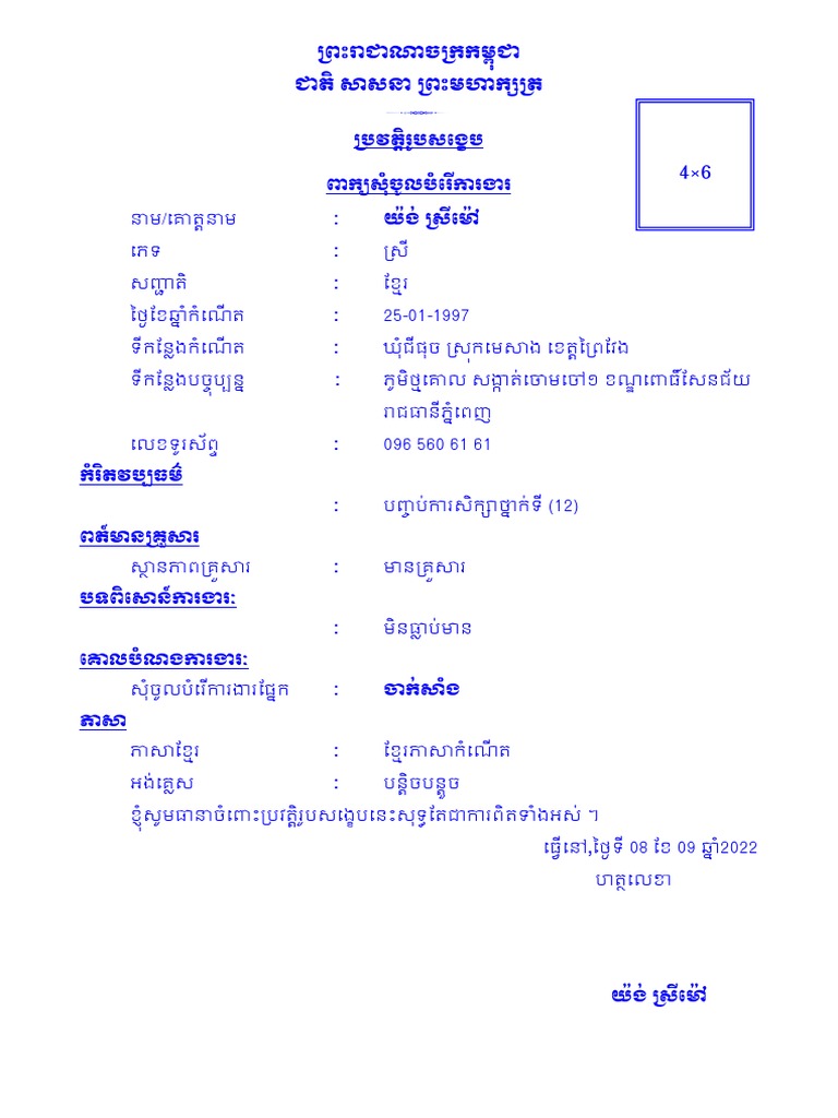 CV PDF | PDF