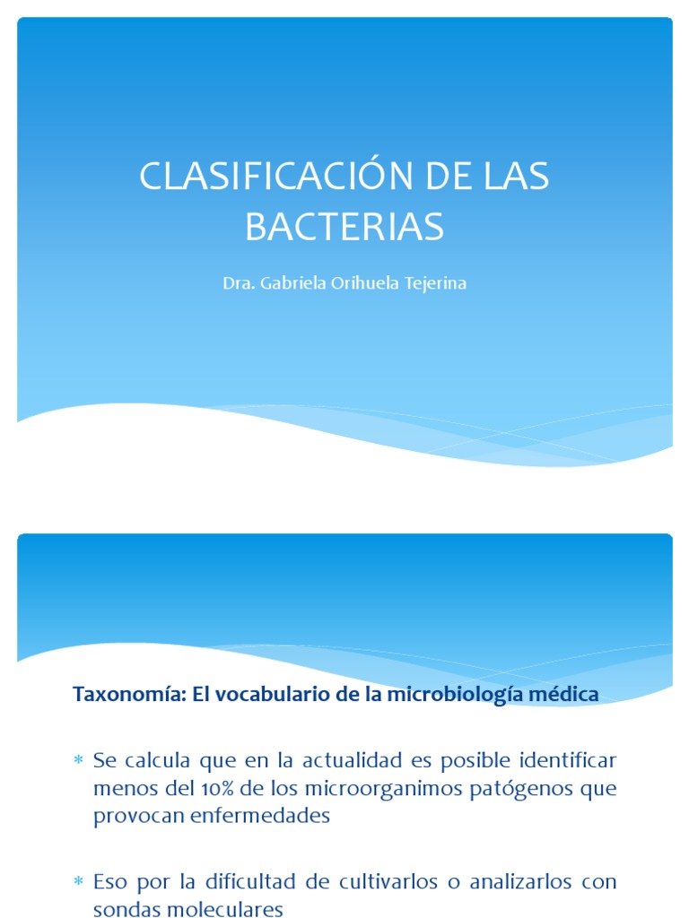 Clasificación de Las Bacterias PDF | PDF | Las bacterias | Biología ...