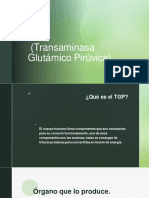 TGP. (Transaminasa Glutámico Pirúvica)