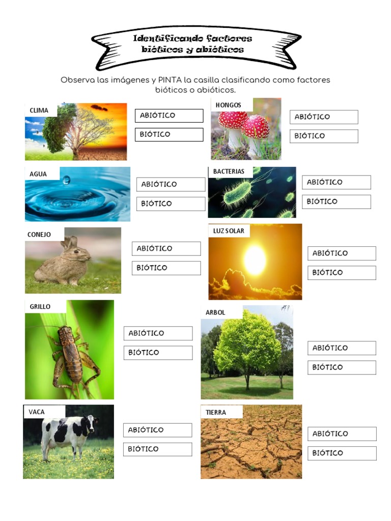 Clasificación de Factores Bióticos y Abióticos | PDF