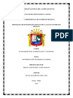 2 Universidad Nacional Del Altiplano Pun1 PDF