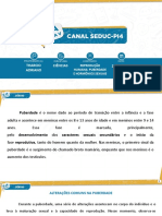 Puberdade PDF