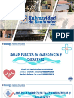 Salud Publica PDF