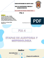 Pia 4 - Etapas de Auditoria y Metodologia - Eq3