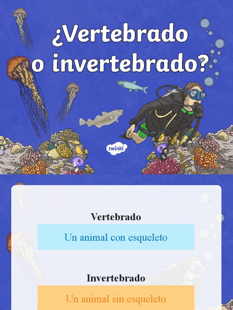 Es SC 284 Presentacion Vertebrado o Invertebrado - Ver - 1 | PDF ...