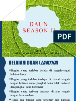 Daun Season Ii