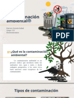 Contaminacion Ambiental